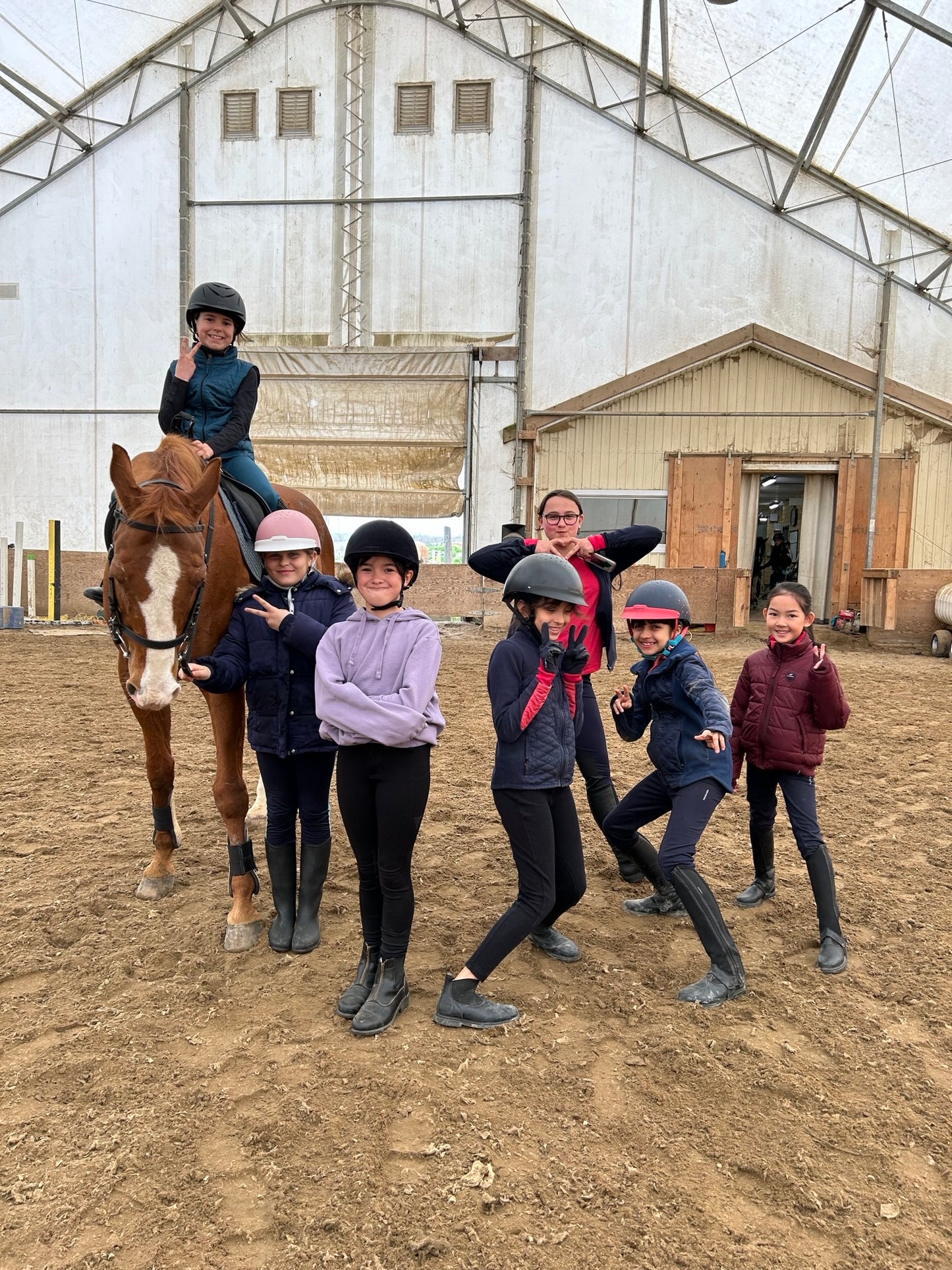 Examen des brevets de cavaliers avec cheval Québec