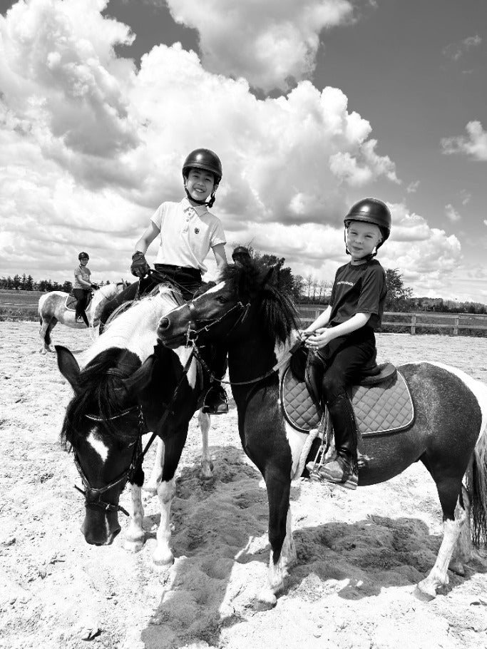 Camp de Jour équitation à Montreal