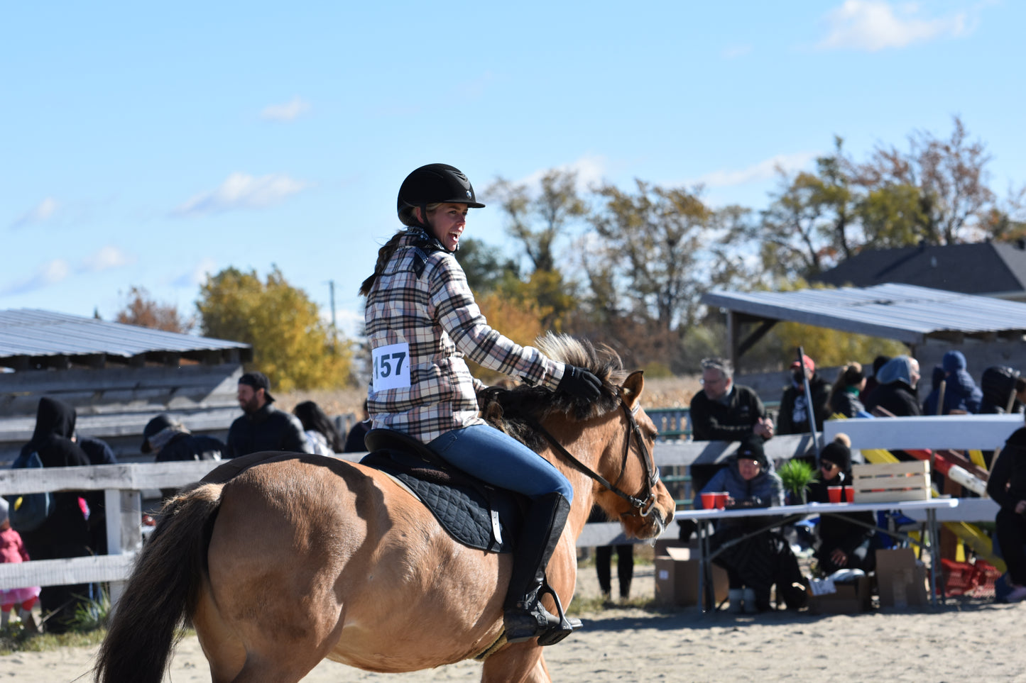 🎃 Fun Halloween Horse Show!