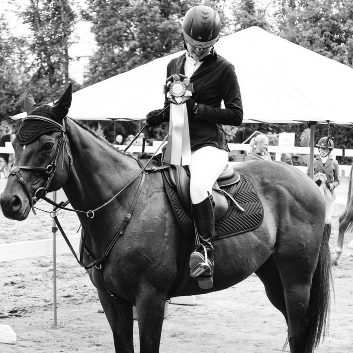Académie Équestre Internationale