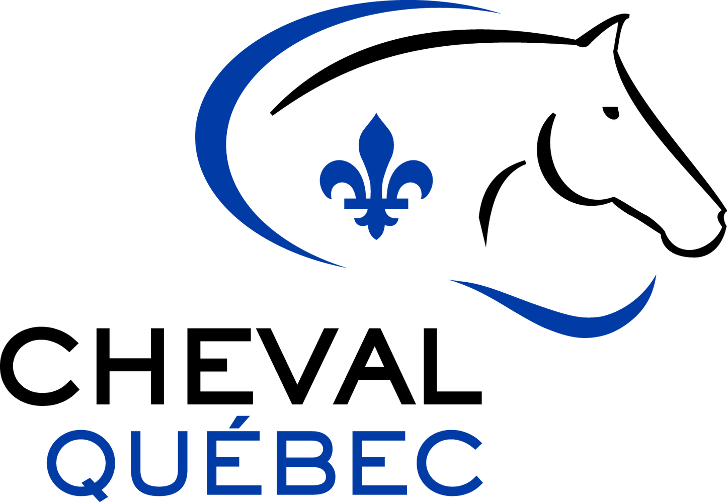 Examen des brevets de cavaliers avec cheval Québec