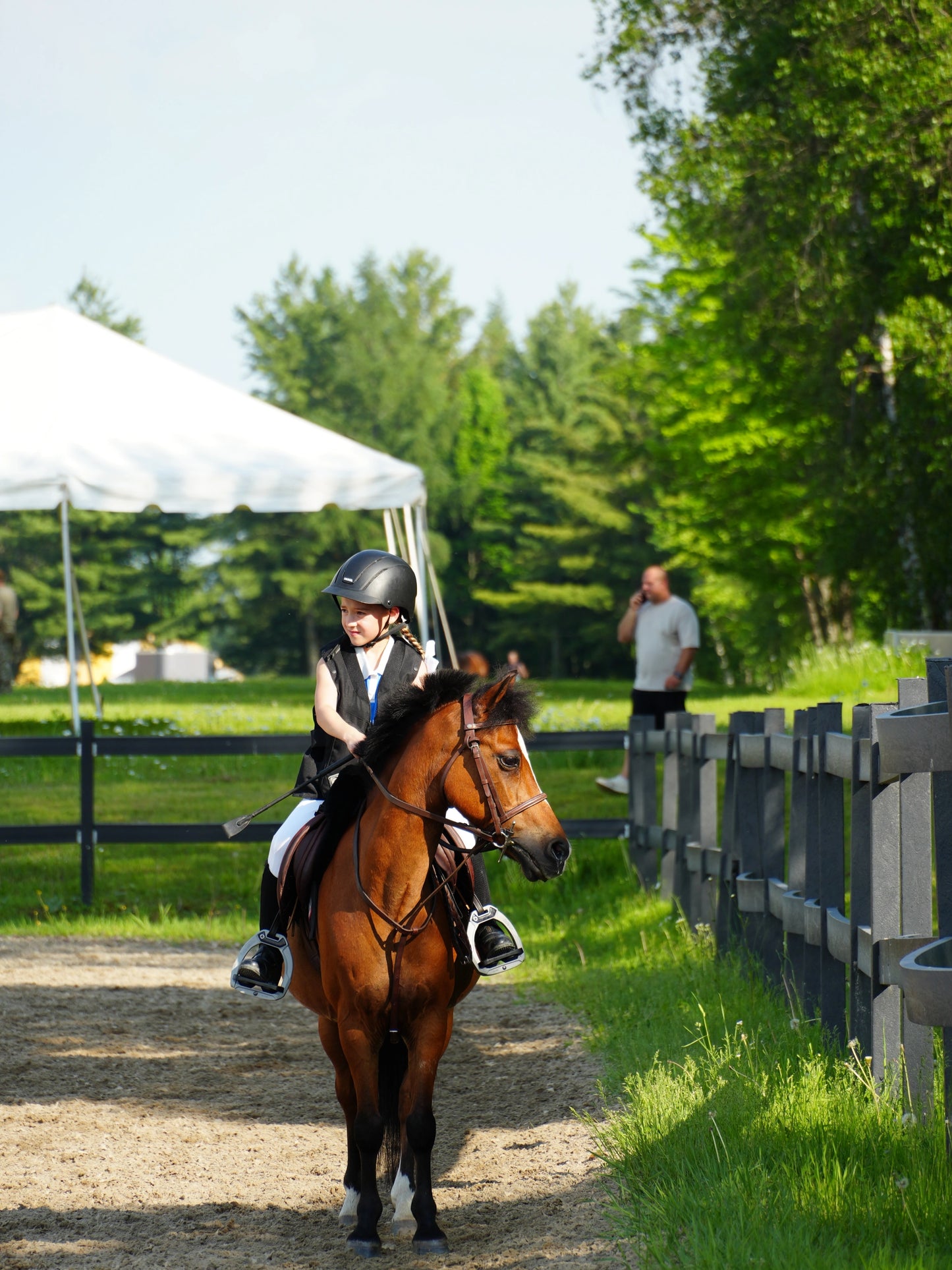 Baby Pony in Montreal